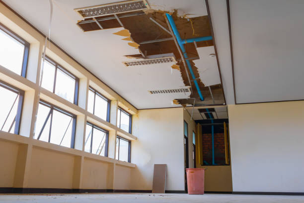 Best Water damage contractors near me  in Clive, IA