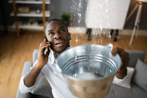 Best Water damage contractors near me  in Clive, IA