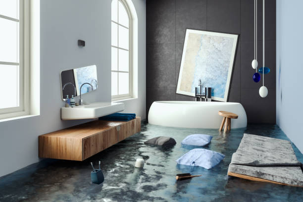 Best Water damage restoration services  in Clive, IA