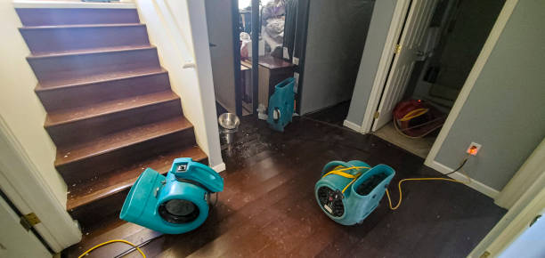 Best Water damage restoration near me  in Clive, IA