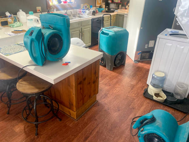 Best 24/7 water damage repair  in Clive, IA