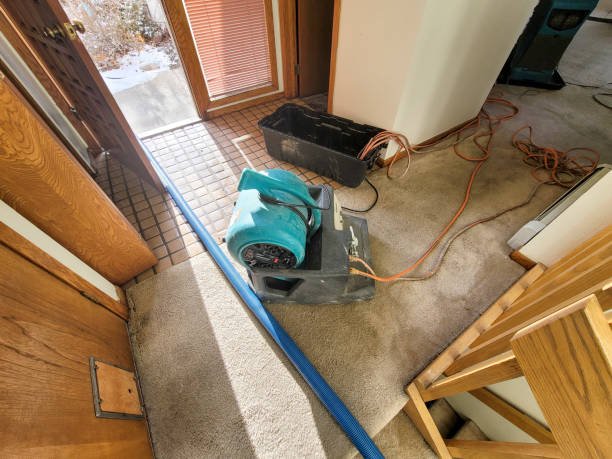 Best Water damage restoration near me  in Clive, IA
