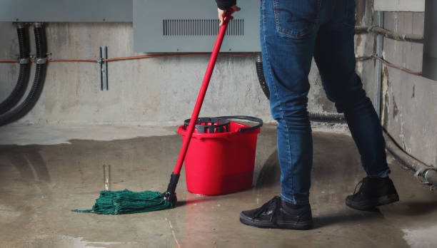 Water damage restoration mold remediation in IA