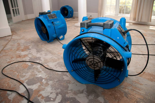 Best Basement water damage restoration  in Clive, IA