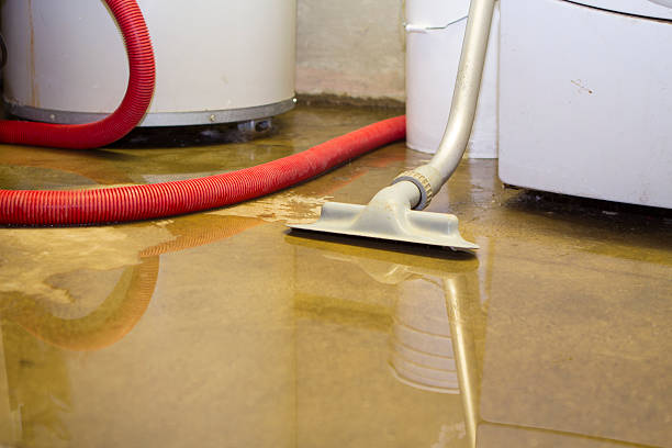 Best 24-hour water damage restoration  in Clive, IA