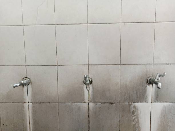 Best Professional water damage repair  in Clive, IA