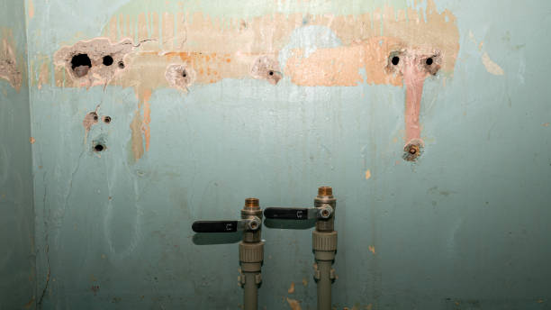 Best Fire Damage Restoration  in Clive, IA