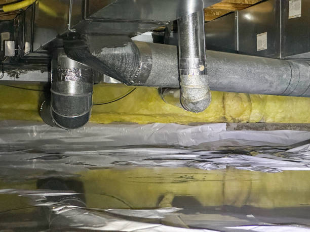 Best Local water damage restoration  in Clive, IA