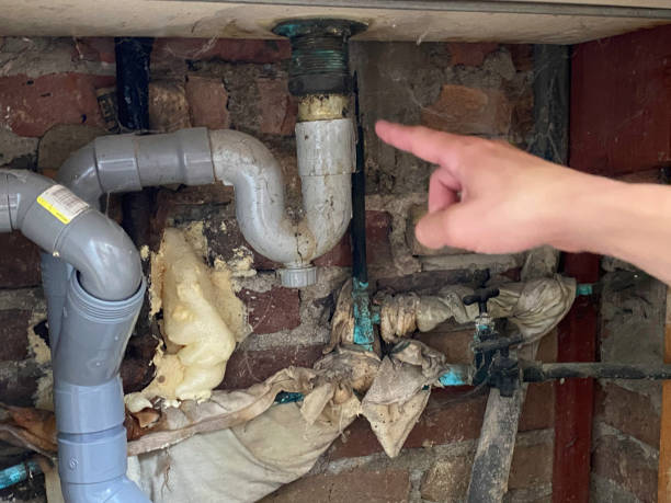 Best 24/7 water damage repair  in Clive, IA