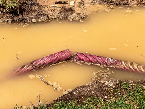 Best Residential water damage restoration  in Clive, IA
